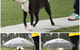 Transparent pet umbrella leash for small dogs, adjustable and rainproof, helping keep pets dry during walks.