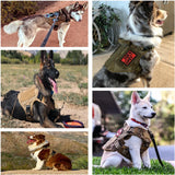 Military large dog harness for training and tactical use on various breeds.