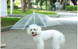 Transparent pet umbrella leash for small dogs, keeping pets dry during rain.