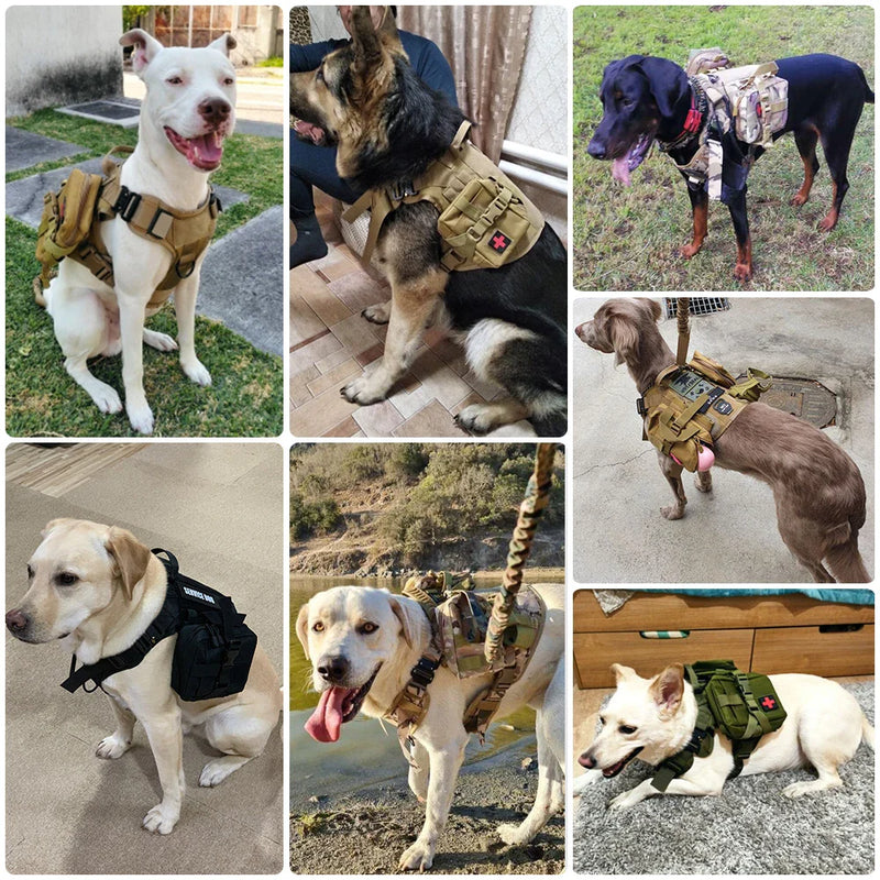 Military large dog harness on various breeds showcasing tactical vest design for training.