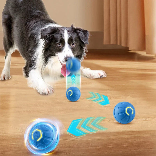 Automatic moving dog toy ball with rotating design, engaging a playful puppy indoors.
